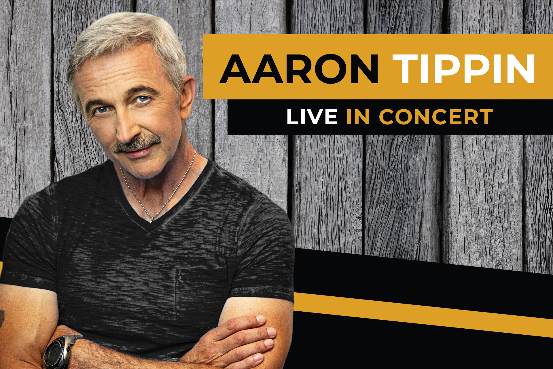 Aaron Tippin at the Effingham Performance Center